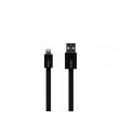 CABLE SYNCHRO/CHARGE Lightning Plat Noir 0,2m